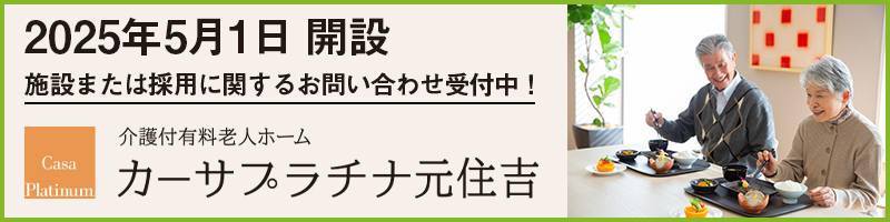 カーサプラチナ元住吉