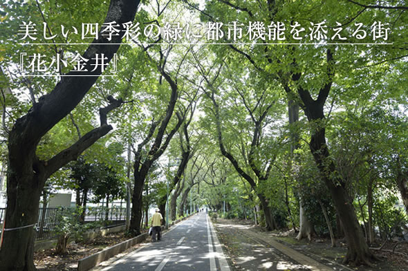 緑と暮しやすさの街『高座渋谷』